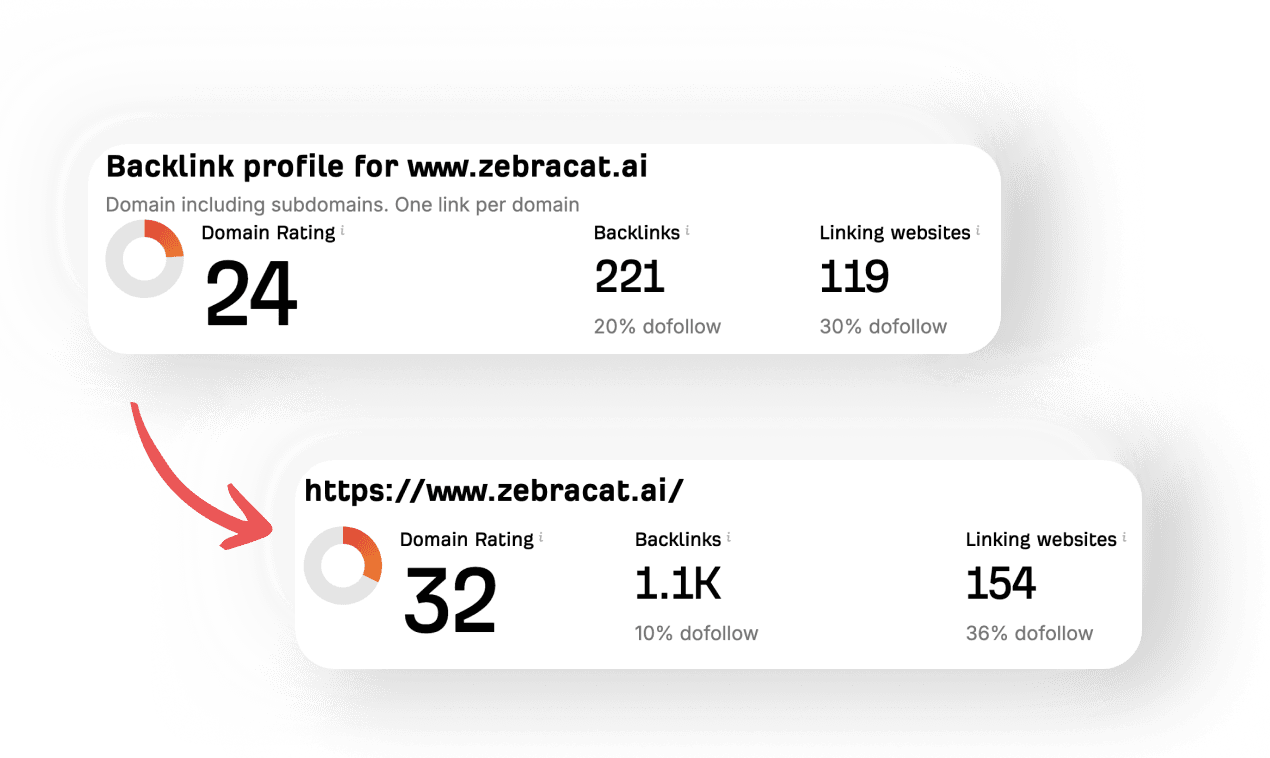 Zebracat DR image