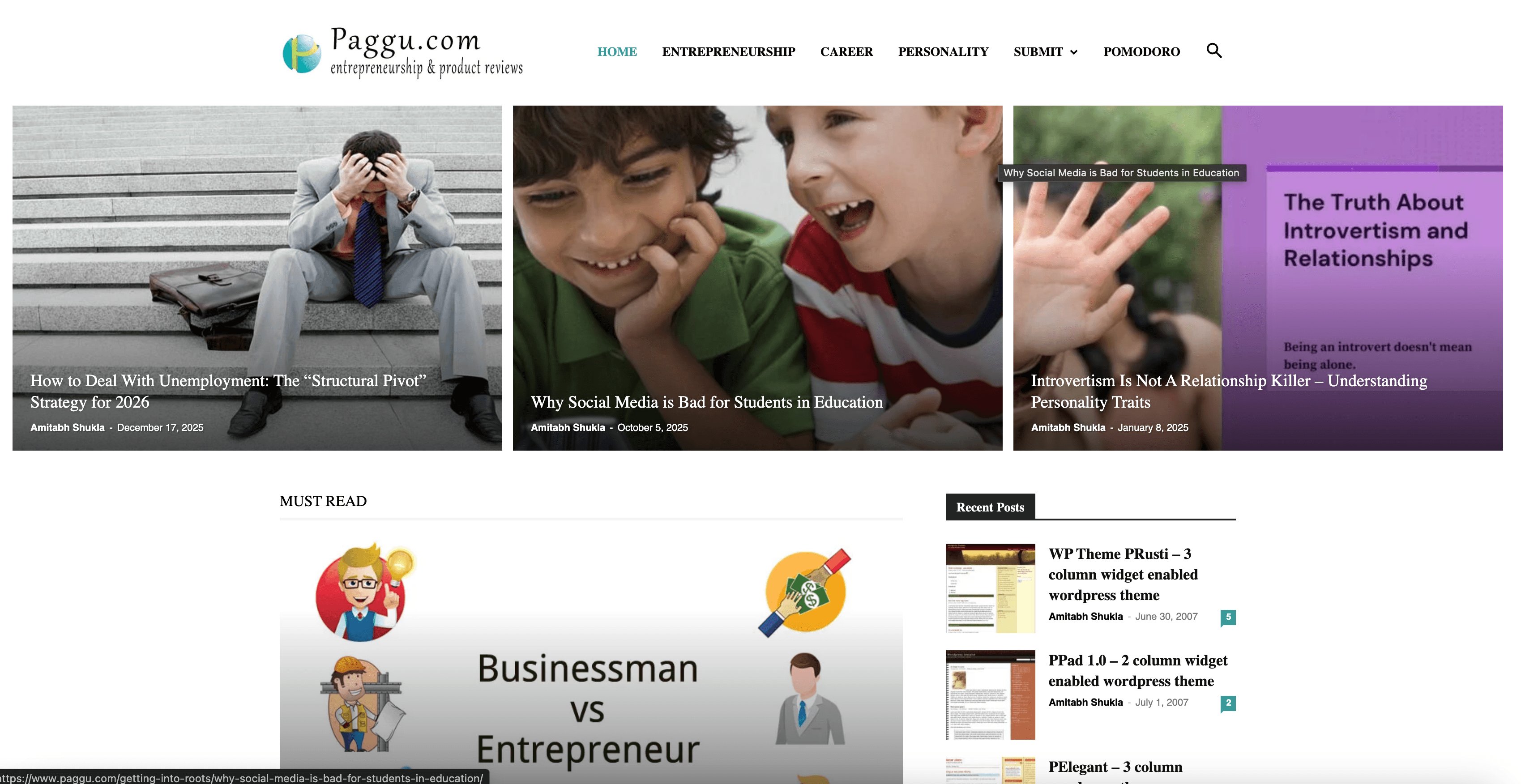Paggu website preview