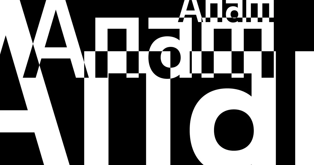 Anam interface screenshot