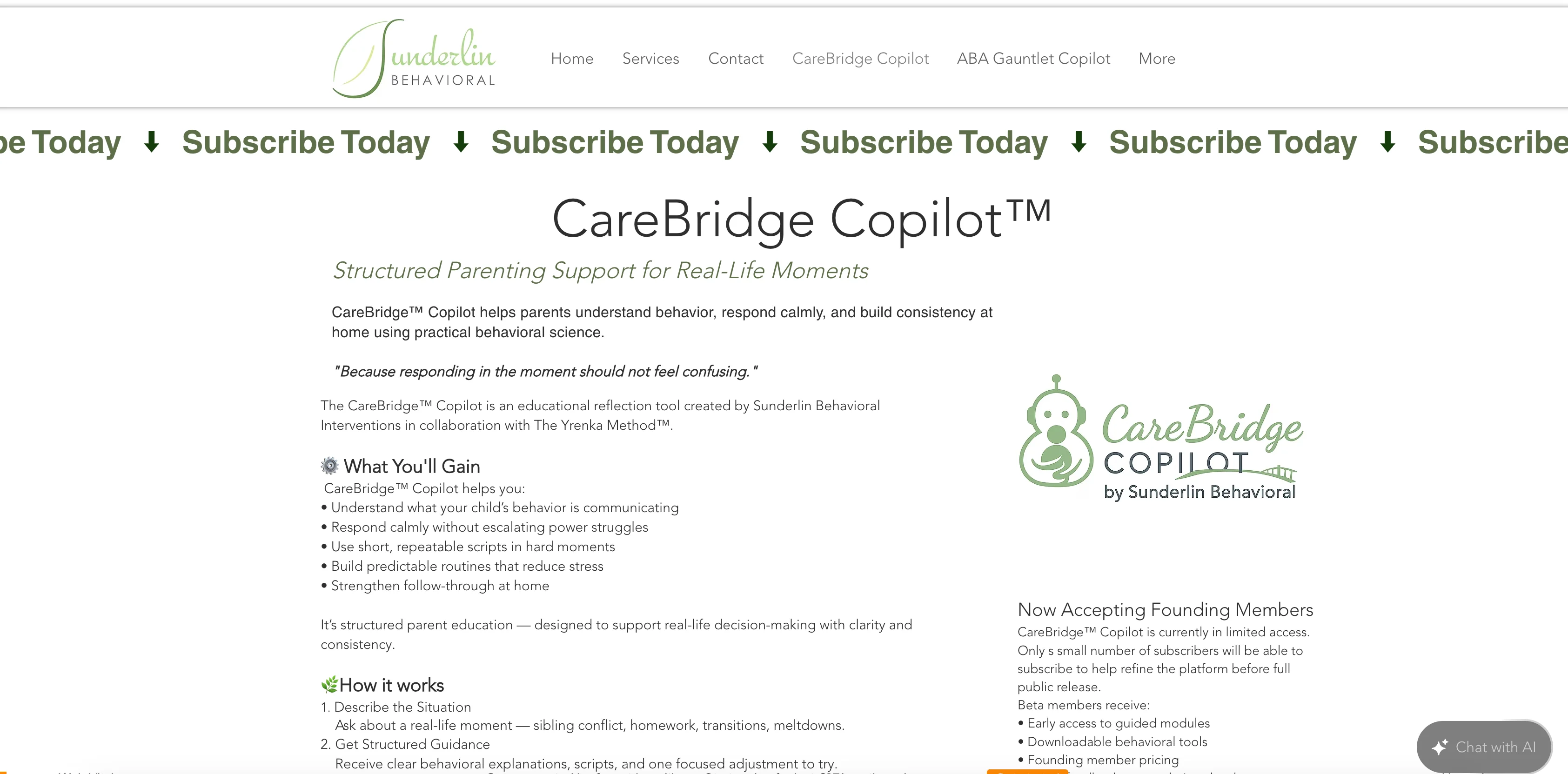 CareBridge Copilot interface screenshot