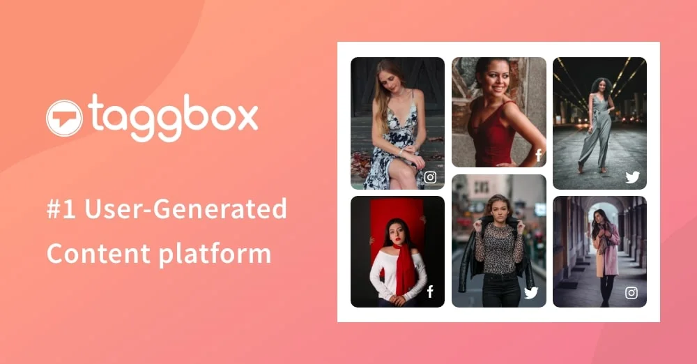 Taggbox interface screenshot