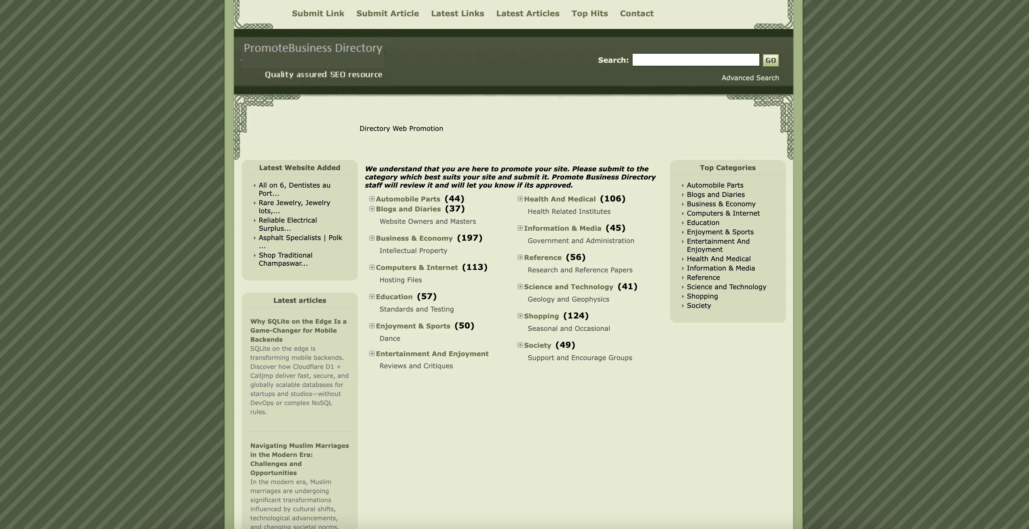 Directory Web Promotion website preview