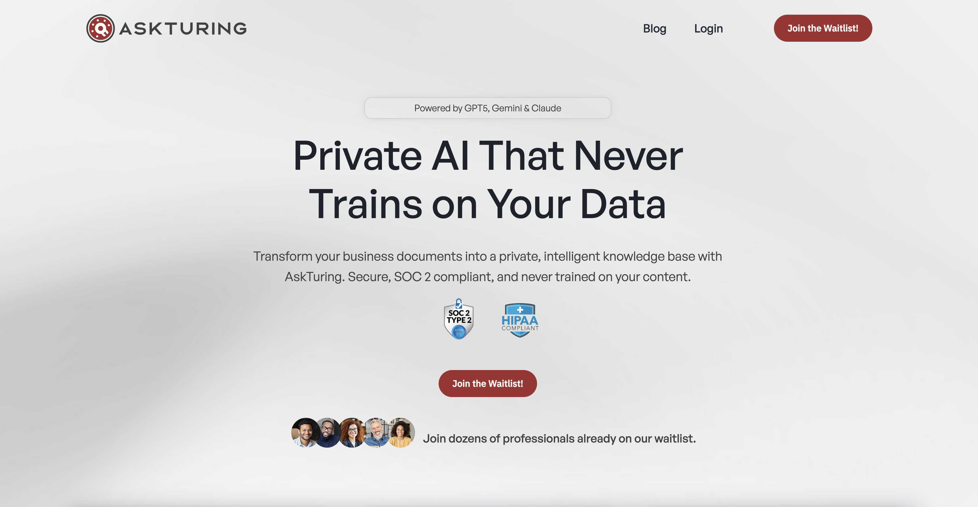 AskTuring interface screenshot