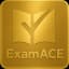 ExamACE logo