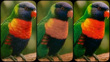 RGB to CMYK Converter thumbnail