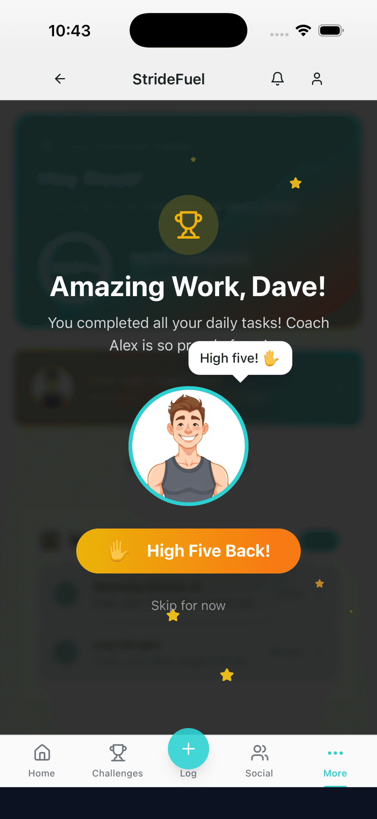 StrideFuel interface screenshot
