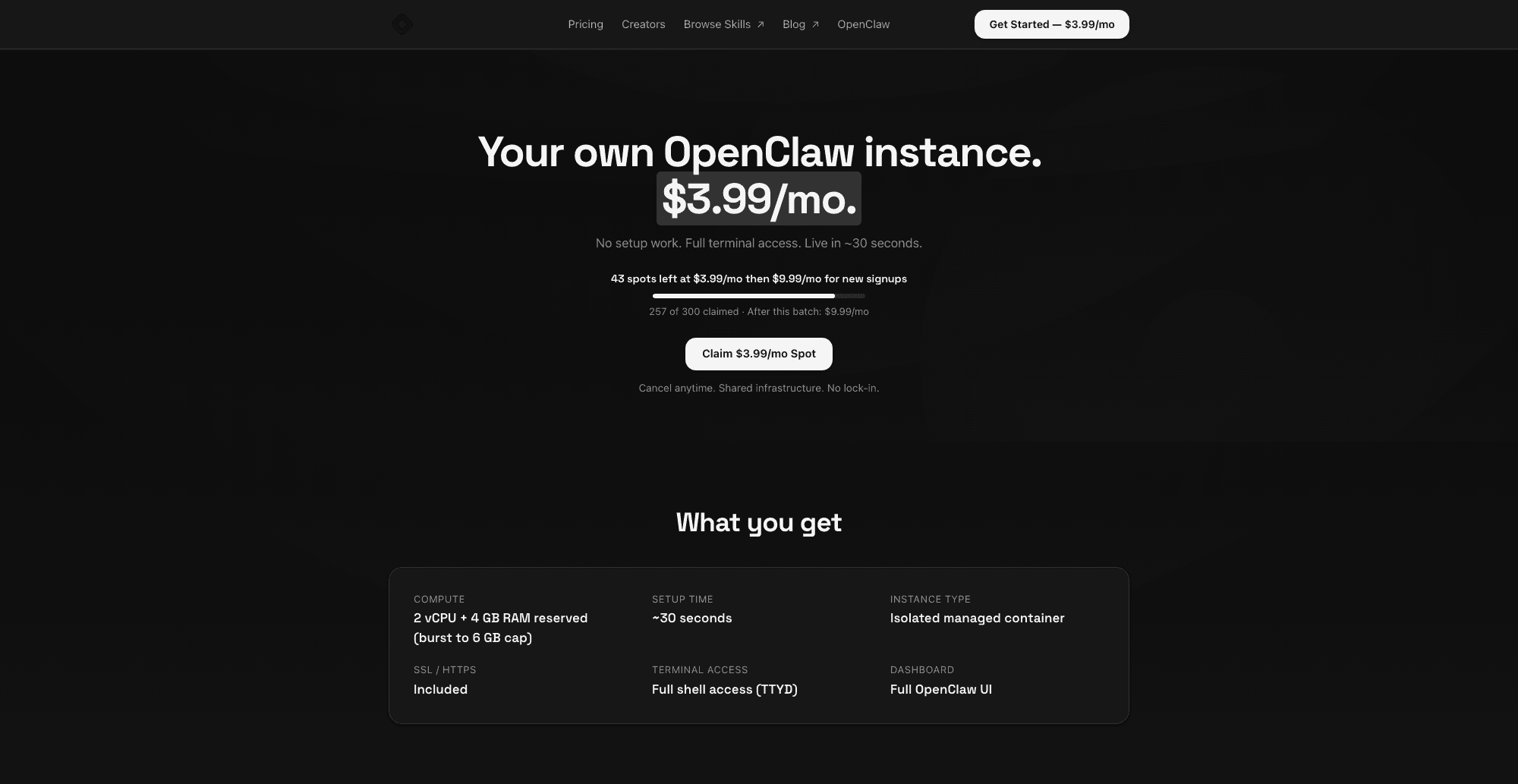 Agent37 interface screenshot
