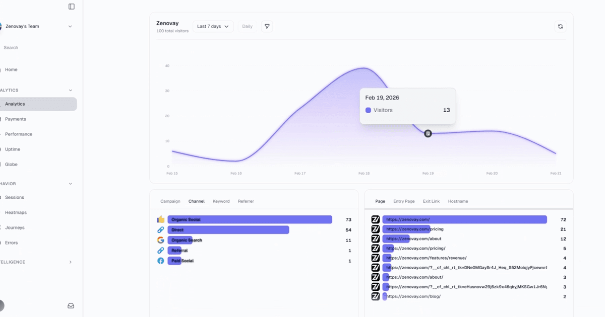 Zenovay interface screenshot