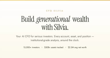 CFO Silvia thumbnail
