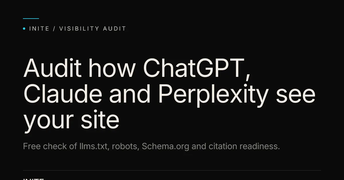 AI Visibility Audit interface screenshot
