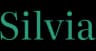 CFO Silvia logo
