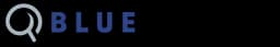 BlueSearch logo