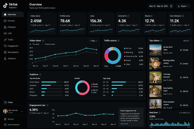 Analytics dashboard showing TikTok video performance metrics