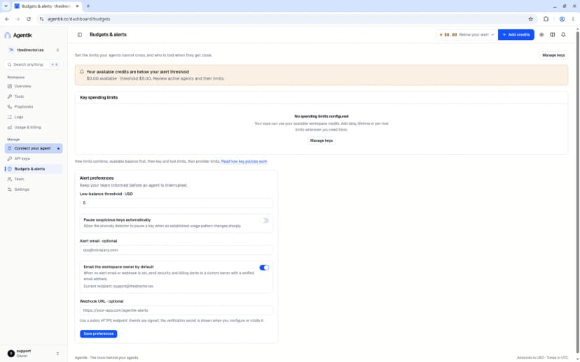 Budgets and alerts page
