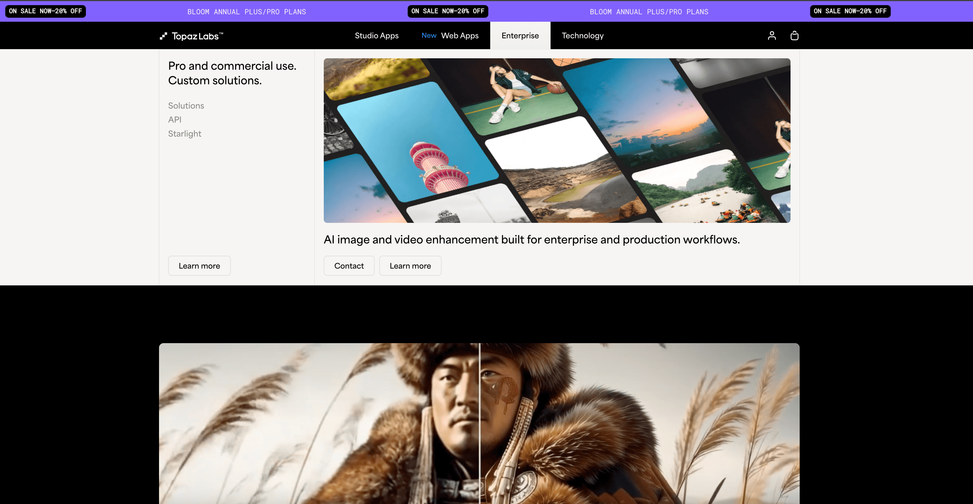 Topaz Labs interface screenshot