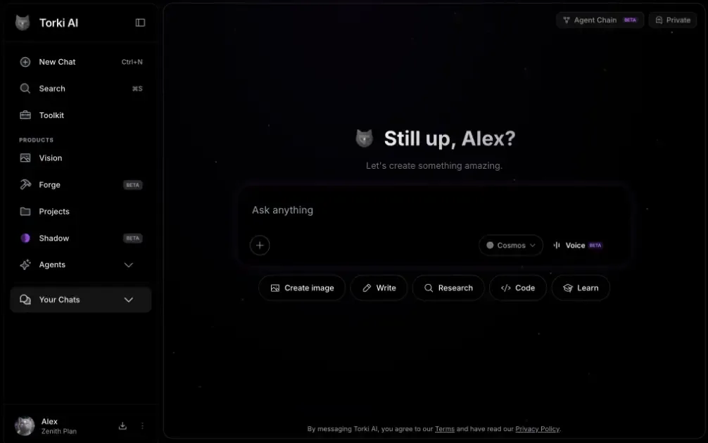 Torki AI interface screenshot