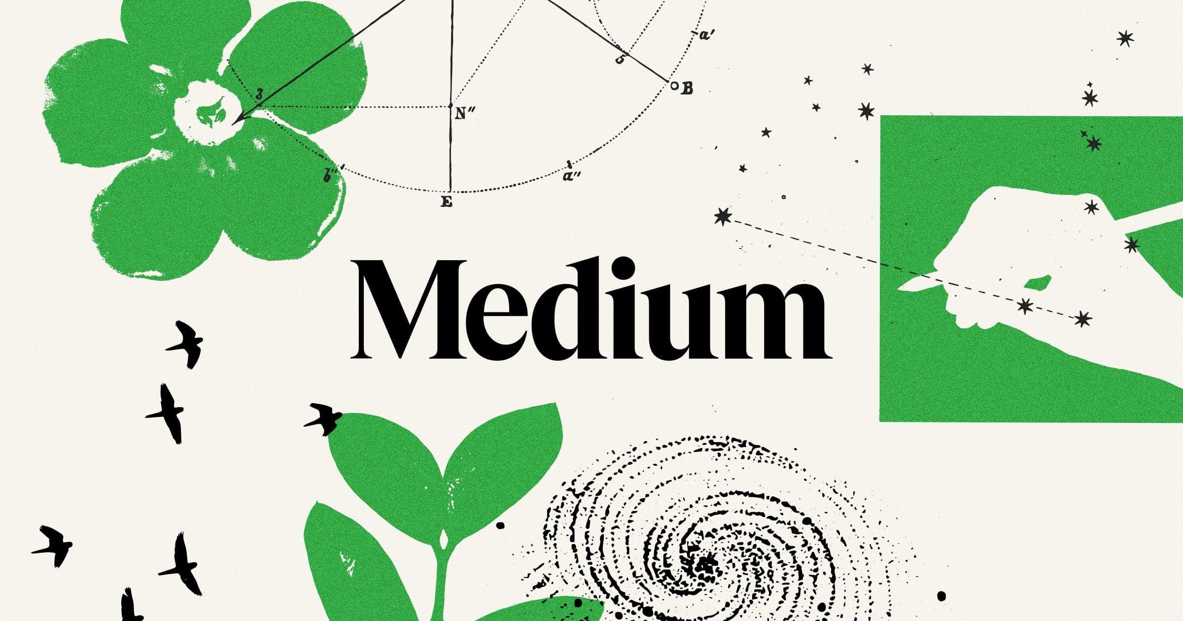 Medium website preview